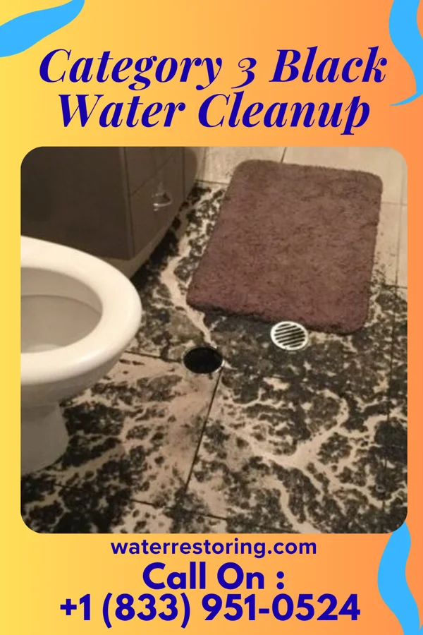 Category 3 Black Water Cleanup in Brookdale, NJ
