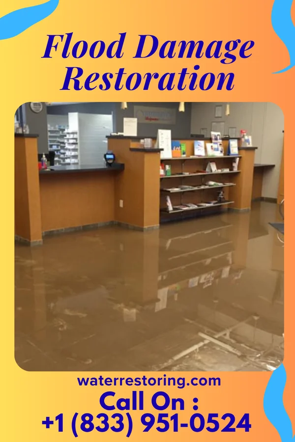 Flood Damage Restoration in Brookdale, NJ