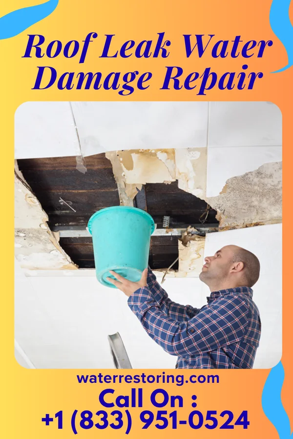 Roof Leak Water Damage Repair in Brookdale, NJ