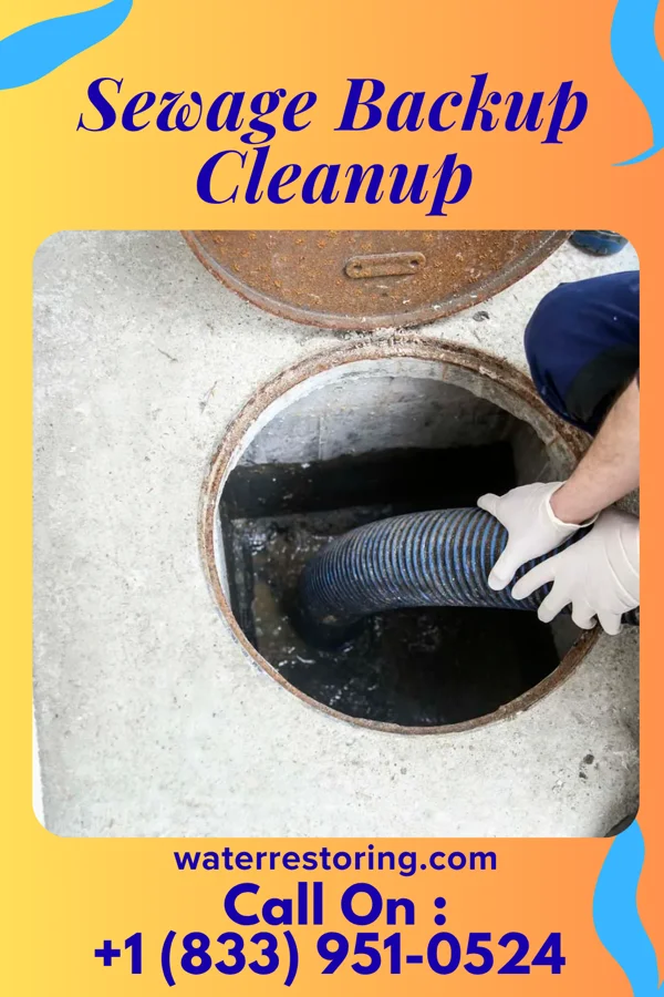 Sewage Backup Cleanup in Brookdale, NJ
