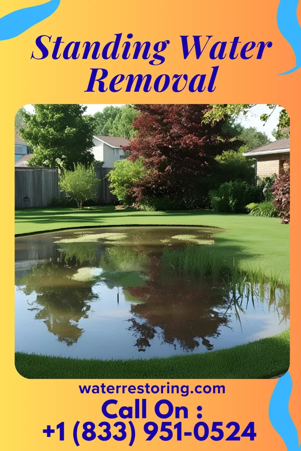 Standing Water Removal in Brookdale, NJ